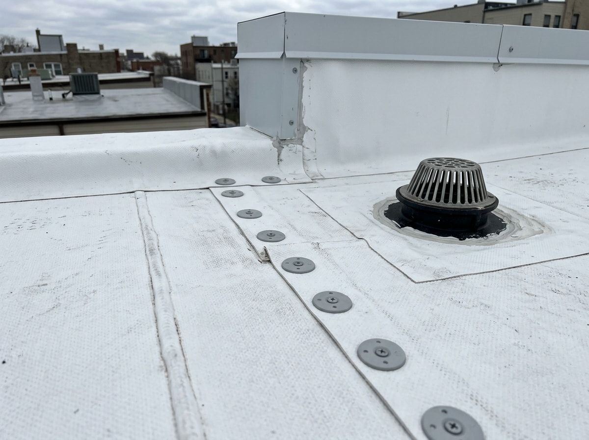 White TPO single-ply membrane roof with heat-welded seams on a low-slope commercial building
